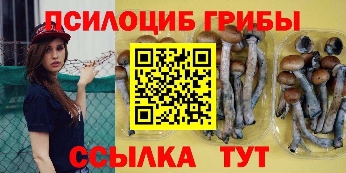 Галлюциногенные грибы Magic Shrooms  Вход с VPN  Курчатов 