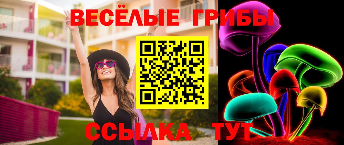 Псилоцибиновые грибы прущие грибы Курчатов